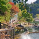 평창동강로 이미지