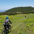 아라목장 이미지