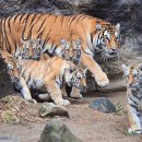 나라와우리 이미지