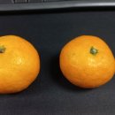 가마로강정 공덕점 이미지