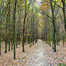 오동마을 이미지