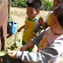 상일농장 이미지