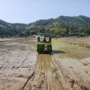 달마축산 이미지