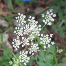 신선약수터 이미지