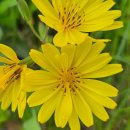 멍 때리지마 이미지