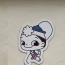 엠비씨노래연습장 이미지