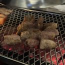 단정하개 이미지