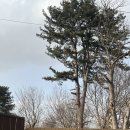 아침이슬팬션 | 춘천여행 춘천 감성 숙소 추천, 다도와 불멍이 있는 스테이더담 춘천동면