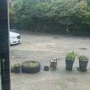 오리대감 이미지