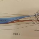 헬로우PT 이미지