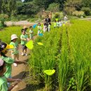 은새유치원 이미지