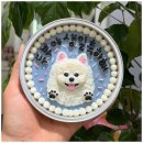 반려동물 케이크만들기 이미지