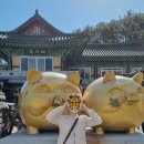 김상호타이어 | 마이네임 절 촬영지 부산 해동용궁사 후기 (주차장, 주차요금, 입장료없음, 사진 스팟)