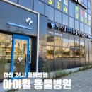 아산아이윌24시동물메디컬센터 | [아산시 동물병원]아산 아이윌 24시 동물병원.산타 재진다녀왔어요!:D