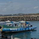 돌고래 | 제주 돌고래 힐링투어 아이랑 야생돌고래 본 후기