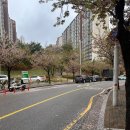 장기역 | 장기역 카페, 샬로우 커피 후기｜감성 가득한 김포 카페 탐방