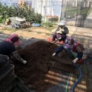 어전농장 이미지