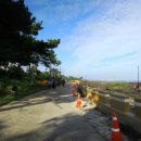 제주 올레길 5코스 이미지