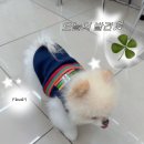 세븐일레븐 울진점 | [세븐일레븐 편의점 단독] 편의점 털이범 찐또의 솔직 후기! (내돈내산)