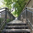 홍릉초교 이미지