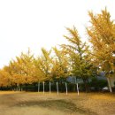 나무와중학교 이미지