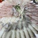 명촌횟집 - 통영시 안개4길 23-6 | 울산 북구 맛집 부산회초장 명촌 가성비 신상 횟집 단체모임추천 내돈내산후기