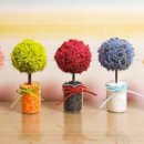 공기정화 스칸디아모스 만들기 이미지