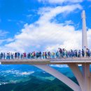 해발 1458m 정상까지 앉아서 편하게 갈 수 있어요 국내 최고 높이의 스카이워크 명소 이미지
