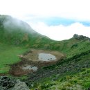 (주)제주백록담 이미지