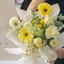 아인플로라 이미지