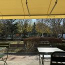 청기와뼈다귀해장국 삼산점 이미지