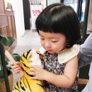 포쉬밥