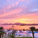 비토 노을숲 글램핑 이미지