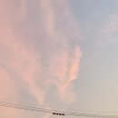 지아니 푸드 시티 | 19년 8월 ; 일상