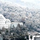 조선대학교 이미지