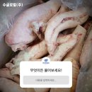 수글로벌참치㈜