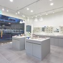 오스트리치안경 이미지