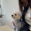 연택 | 드디어 왔습니다.