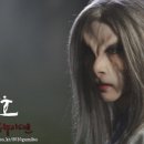 홀리