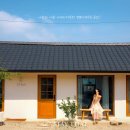 스테이 띠앗 이미지