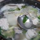 막썰어회식당