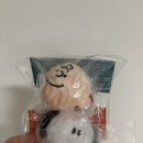 애견카페 플루프 방문기｜파주 대형 운동장+감성 포토존까지!