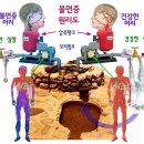 점점 밤은 깊어지는데 불면증이라면 꿀 잠을 청하세요. 이미지