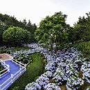 장생포고래일번지 이미지