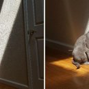 몽글몽글 이미지