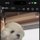 라온아이 이미지
