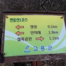 천등산철쭉공원 이미지