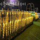 하이플레임 스테이 이미지