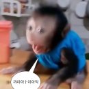 원큐뽑기방 네이버블로그