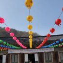 석정농장 | 고창 선운산 후기, 선운사와 폴바셋 고창선운사점 (고창 기념품샵 팁까지)